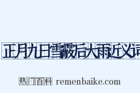 正月九日雪霰后大雨近义词是什么意思的图片